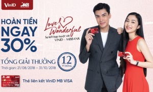 Thẻ VinID MB VISA: Sự kết hợp tuyệt vời xứng tầm hai thương hiệu lớn